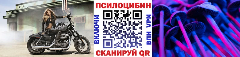 Псилоцибиновые грибы Psilocybine cubensis  что такое   Салават 